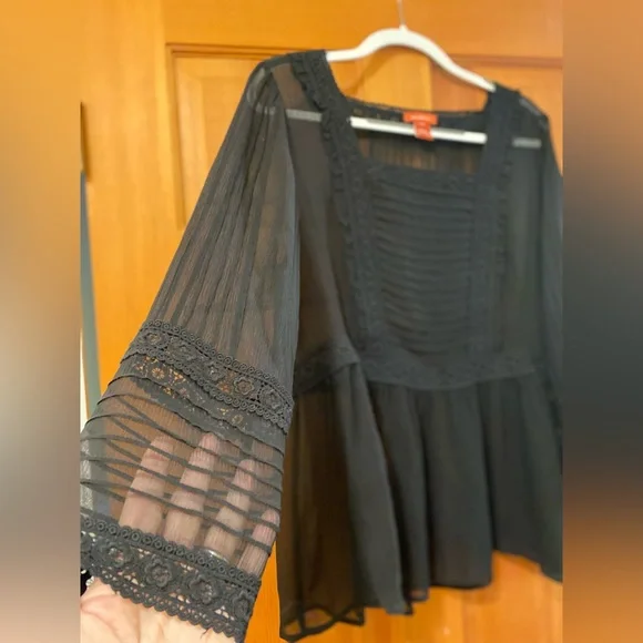 Sundance Very Black Sheer silk Blouse with lace detail. Beautiful Elegant - Picture 1 of 14